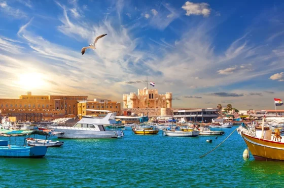 رحلة اليوم الواحد إلى الإسكندرية من القاهرة