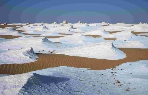 سفاري الصحراء البيضاء