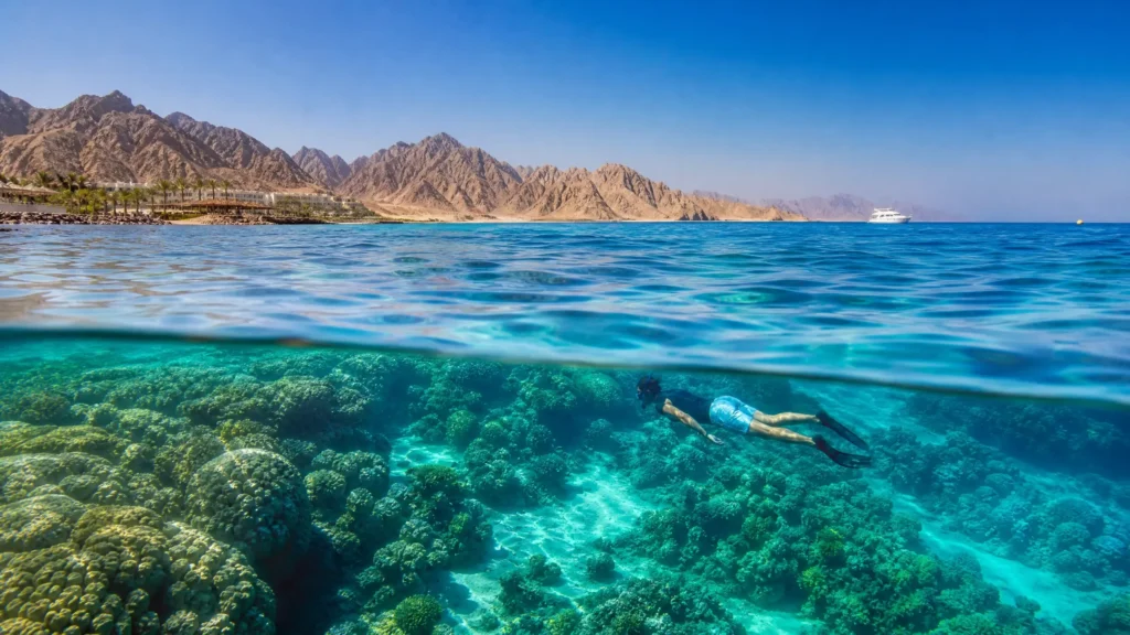 تجربة تجمع بين البحر والمغامرة